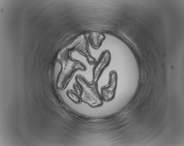 X0000061140117200512161540