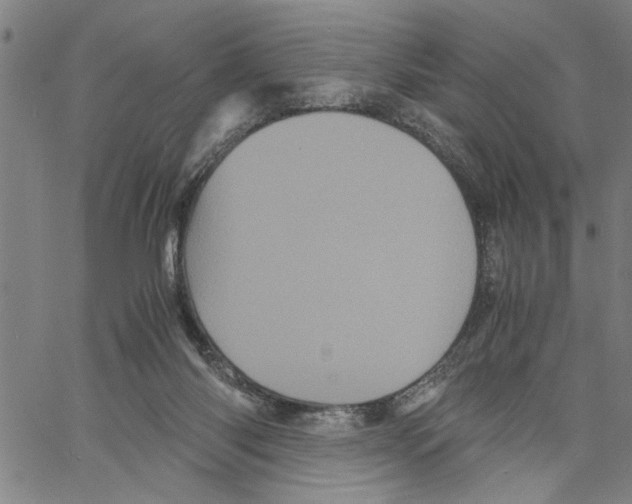 X0000061140118200512161540