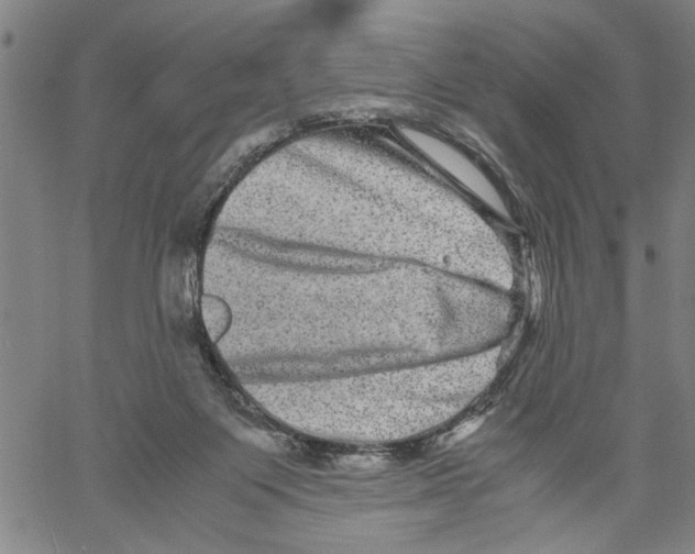 X0000061140119200512161540