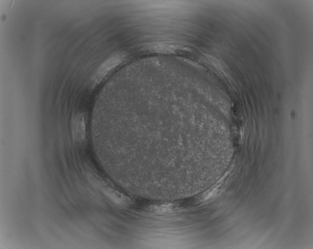 X0000061140120200512161540