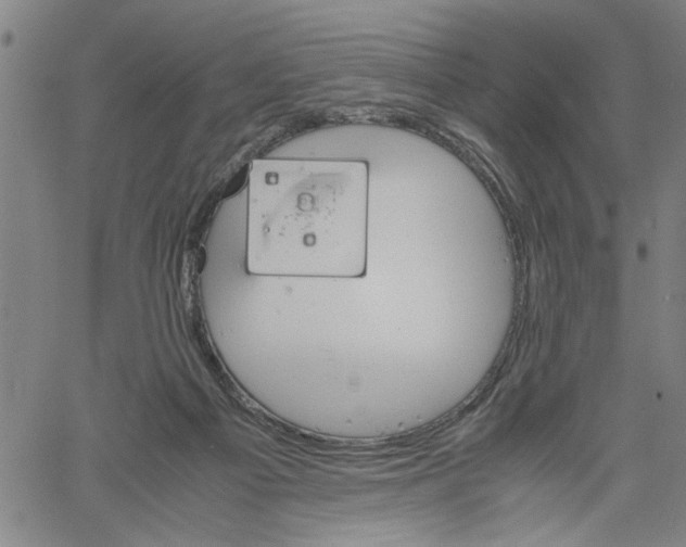 X0000061140121200512161540