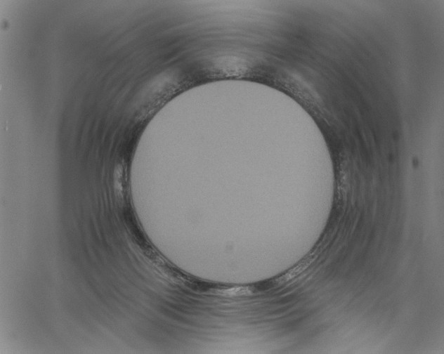 X0000061140122200512161540