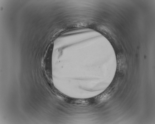 X0000061140123200512161540