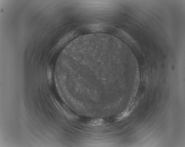 X0000061140124200512161540