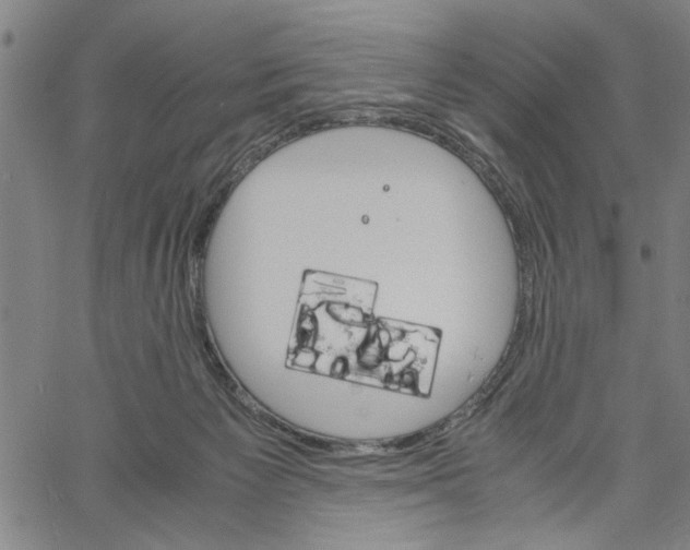 X0000061140125200512161540