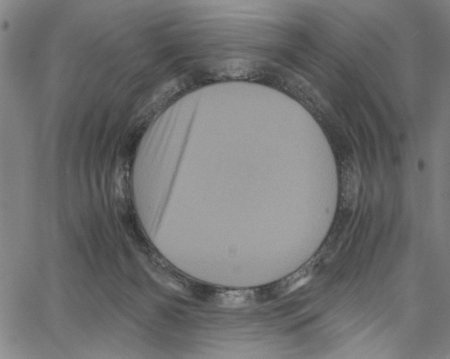 X0000061140126200512161540