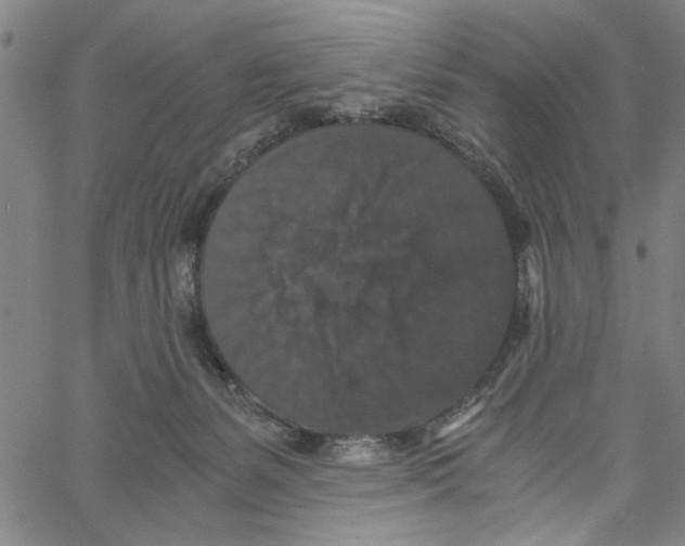 X0000061140127200512161540