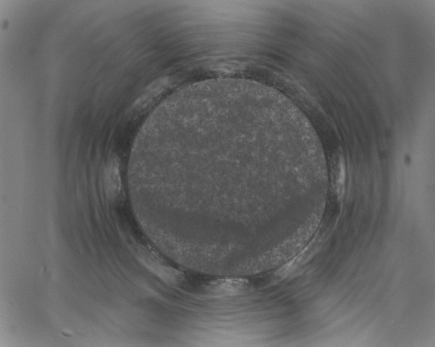 X0000061140128200512161540