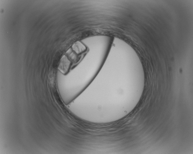 X0000061140129200512161540