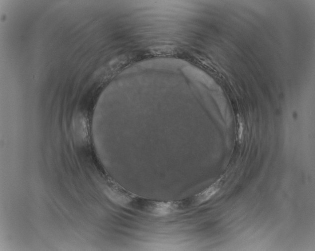 X0000061140130200512161540