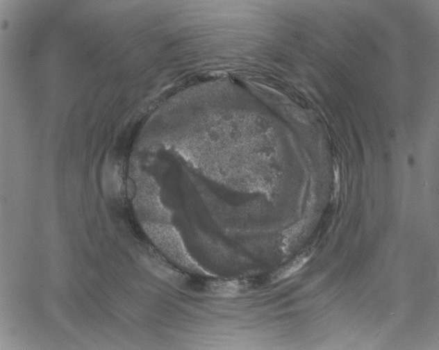 X0000061140131200512161540