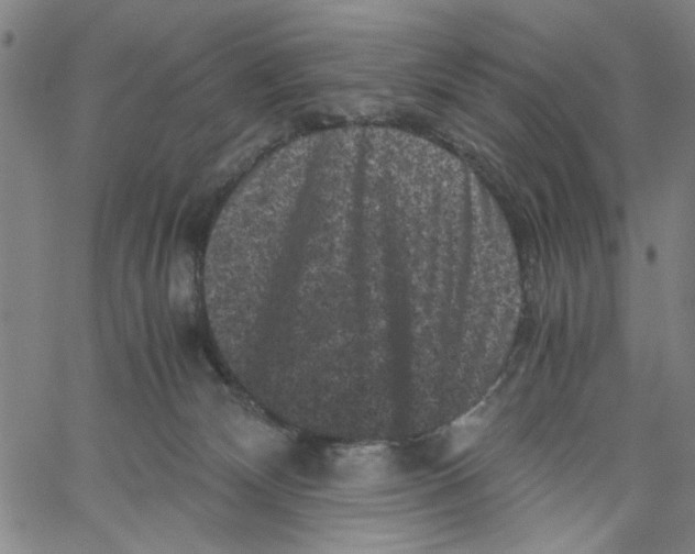 X0000061140132200512161540