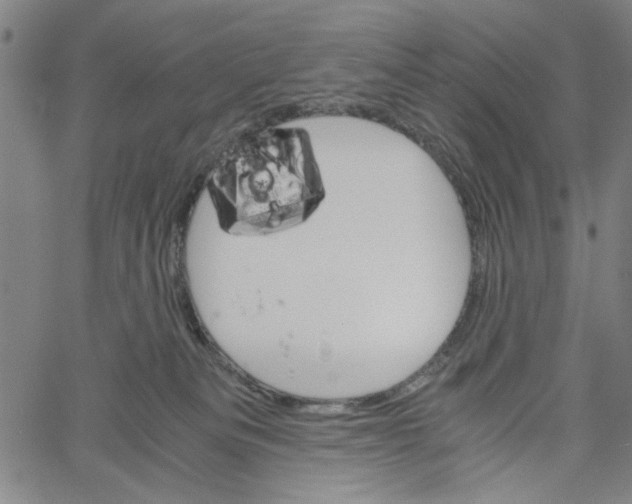 X0000061140133200512161540