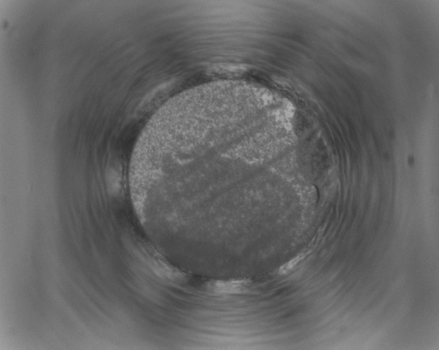 X0000061140134200512161540