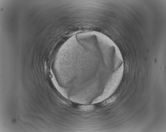 X0000061140135200512161540