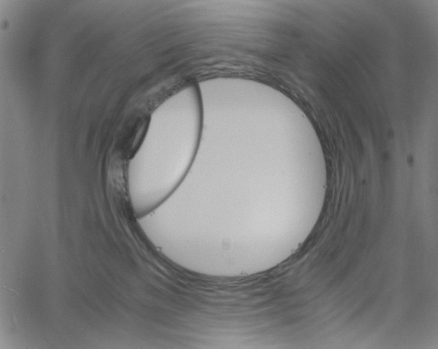 X0000061140137200512161540