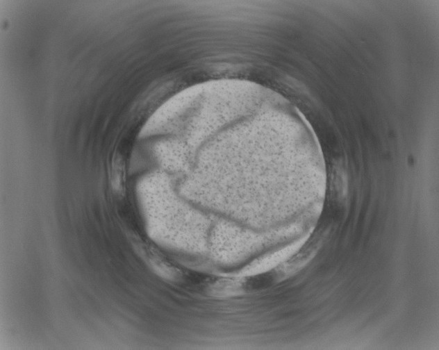 X0000061140138200512161539