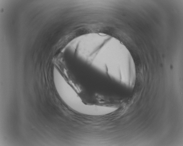 X0000061140139200512161539