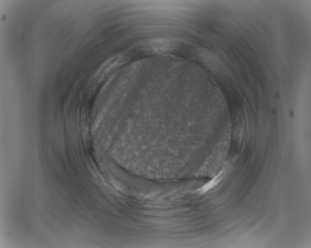 X0000061140140200512161539