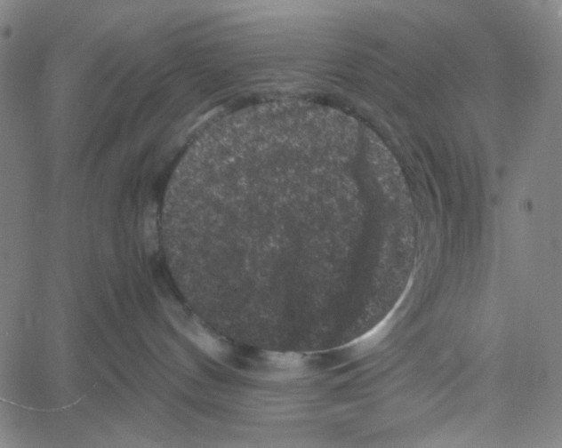 X0000061140144200512161539