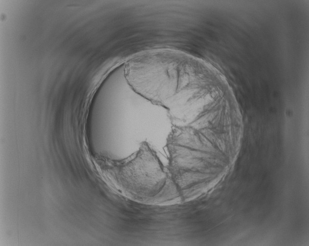 X0000061140145200512161539