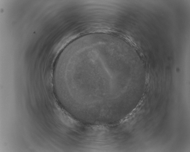 X0000061140146200512161539