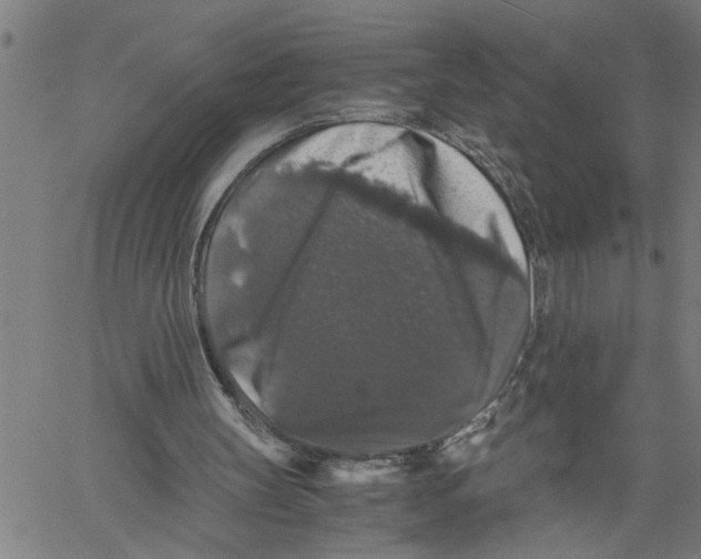 X0000061140147200512161539