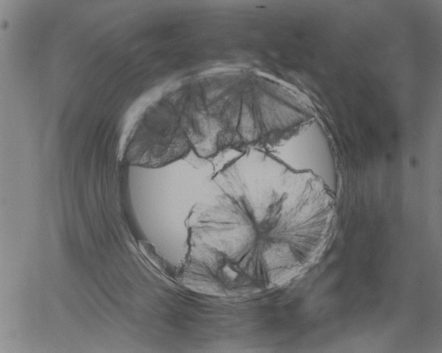 X0000061140149200512161539