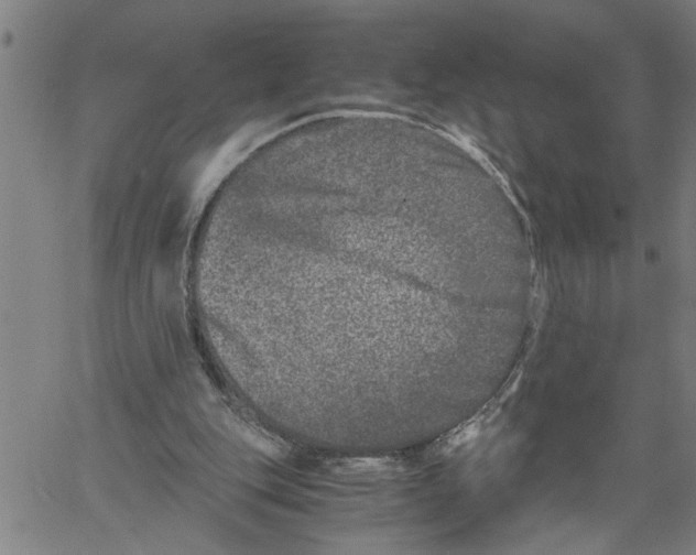 X0000061140151200512161539