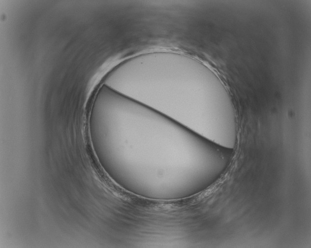 X0000061140152200512161539