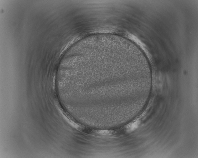 X0000061140153200512161539