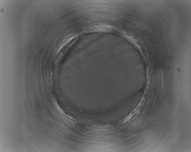 X0000061140154200512161539