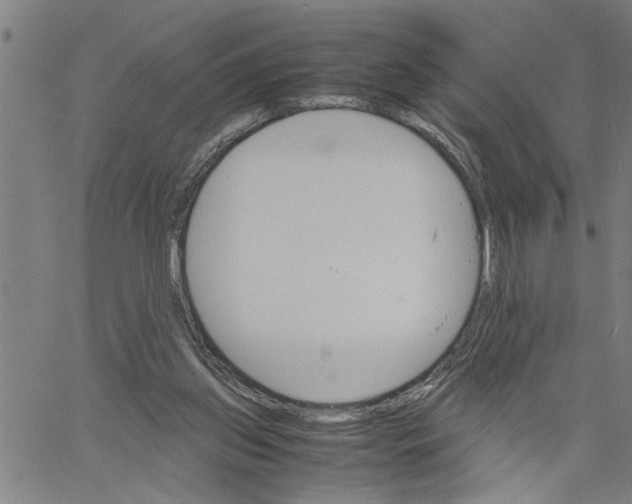 X0000061140157200512161539