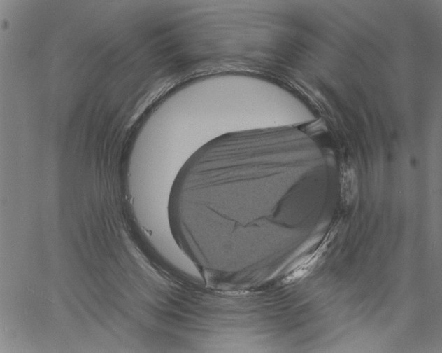 X0000061140158200512161539