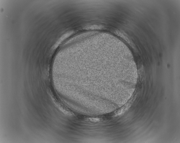 X0000061140159200512161539