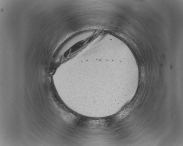 X0000061140160200512161539