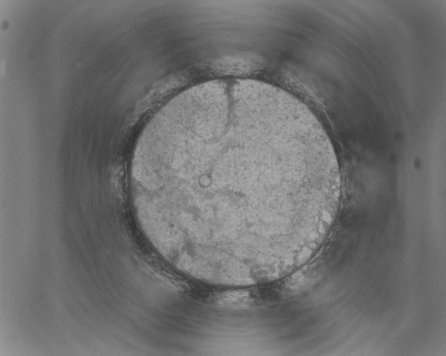 X0000061140162200512161539