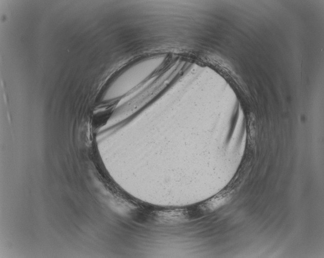 X0000061140164200512161539