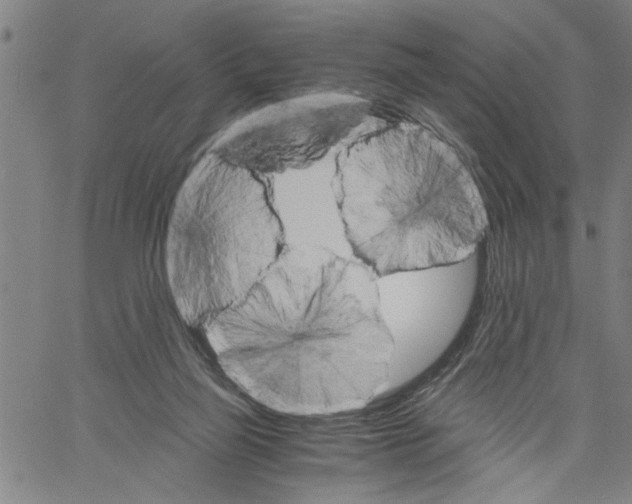 X0000061140165200512161539