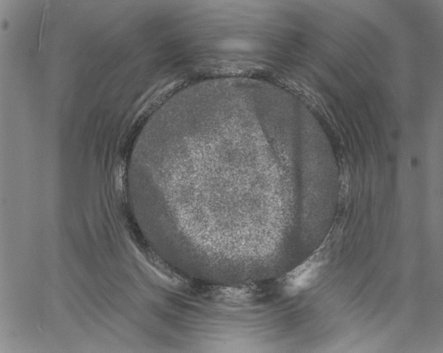 X0000061140166200512161539