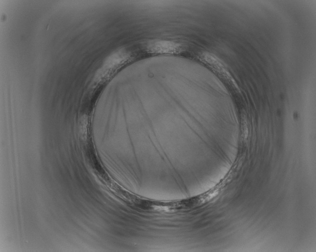 X0000061140167200512161539