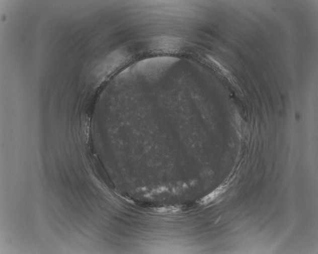 X0000061140168200512161539