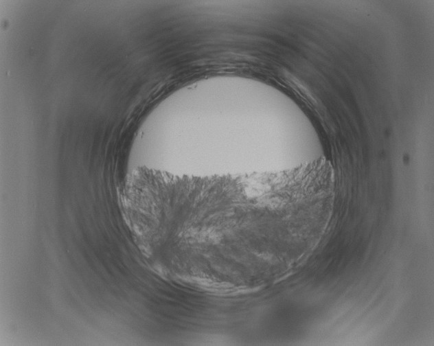 X0000061140169200512161539