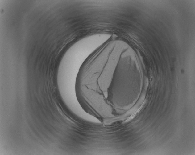 X0000061140171200512161539