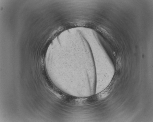 X0000061140172200512161539