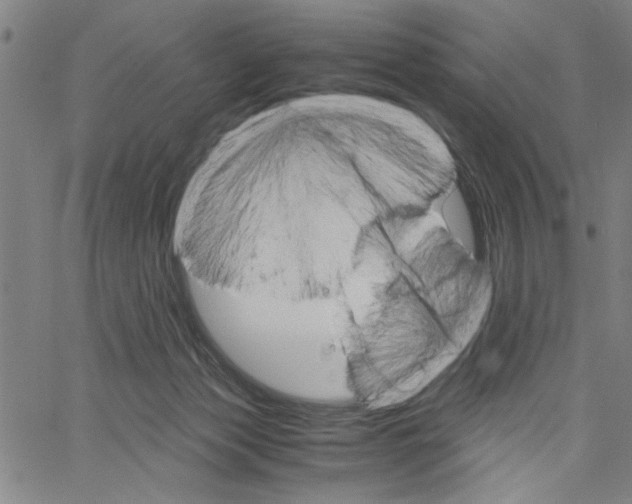 X0000061140173200512161539