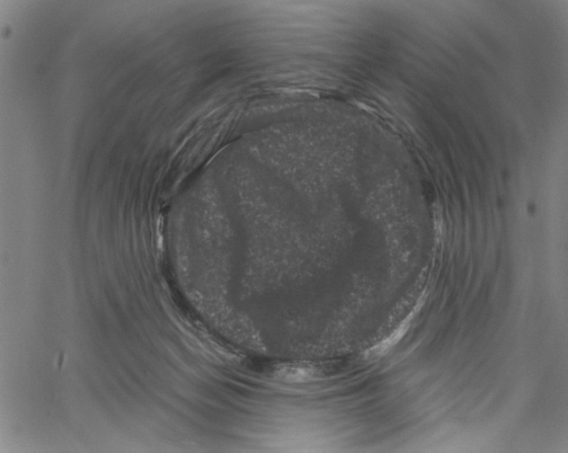 X0000061140174200512161539