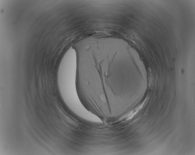 X0000061140175200512161539