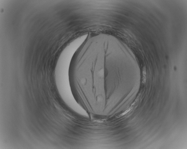 X0000061140176200512161539