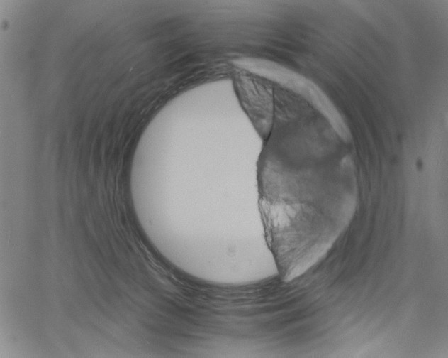 X0000061140177200512161539